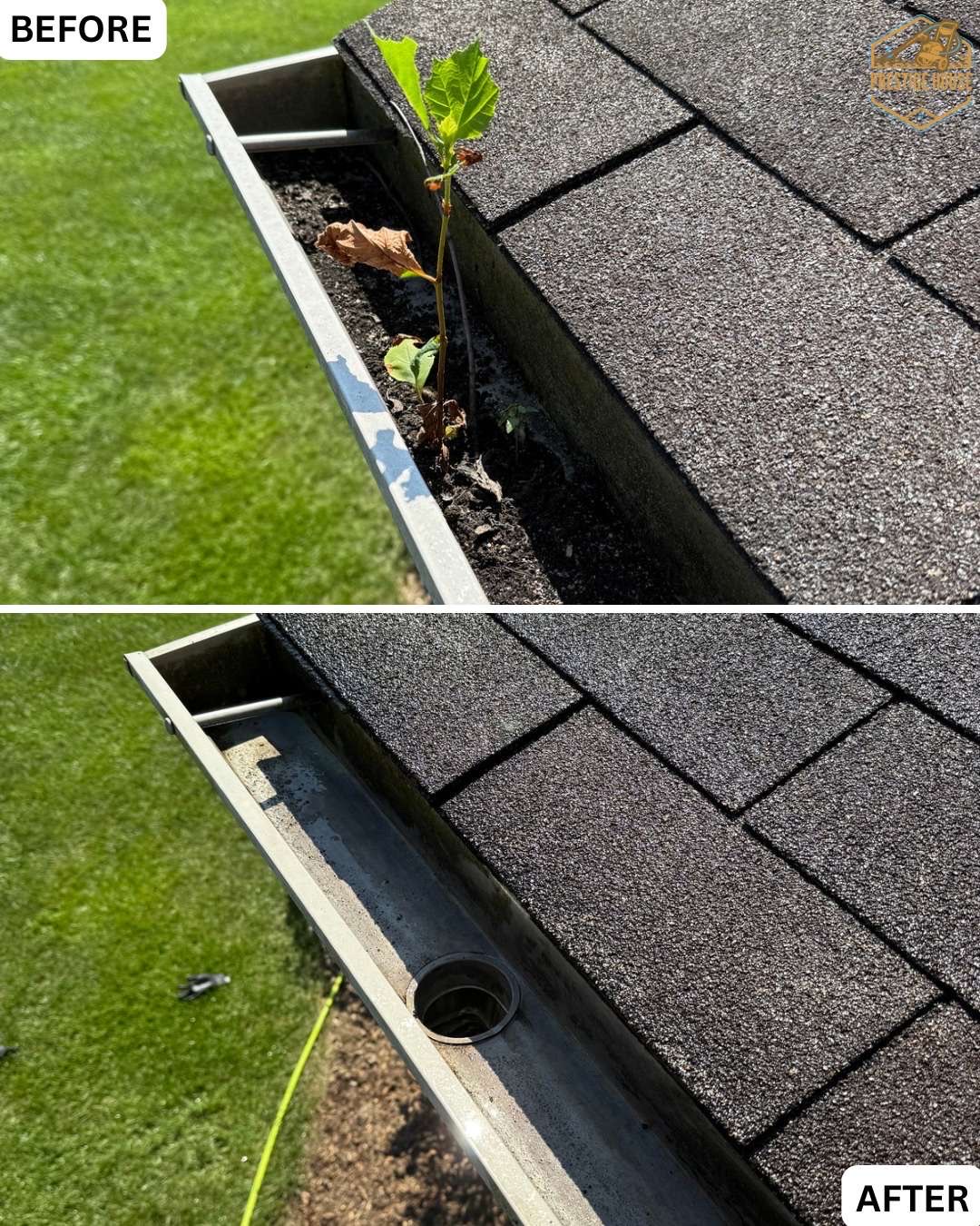 Gutter Cleaning